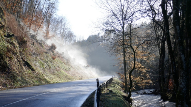 Dampfender-Wald-Saynbachtal