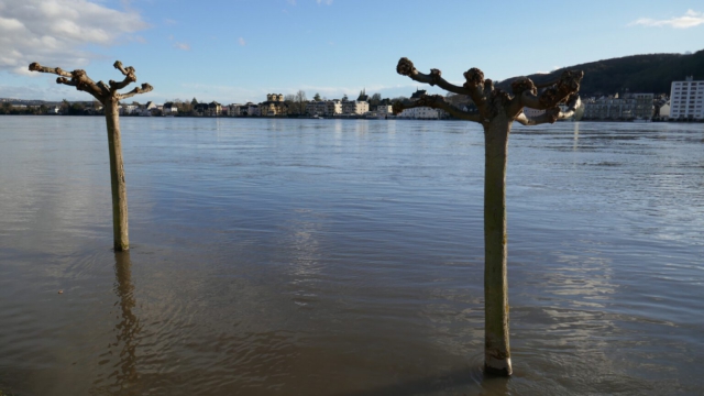 Erpel-Rheinhochwasser-Remagen-2021