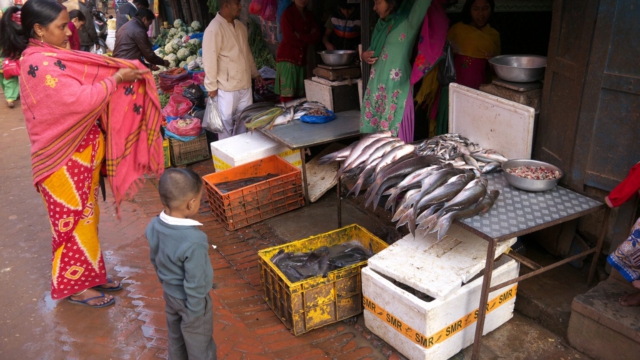 Fischgeschaeft-Bhaktapur