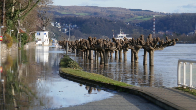 Hochwasser-Erpel-B42-2021