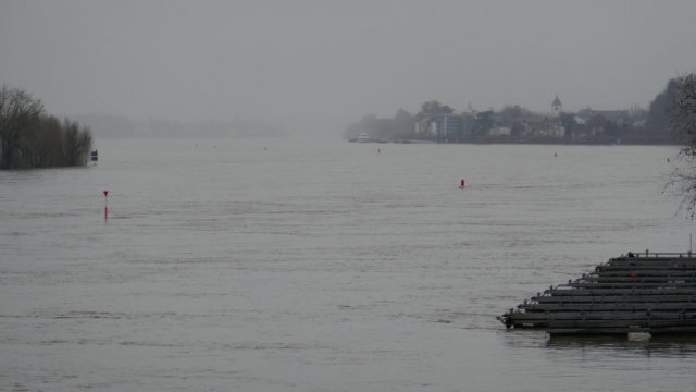 Rhein-grau-Koenigswinter-Hochwasser