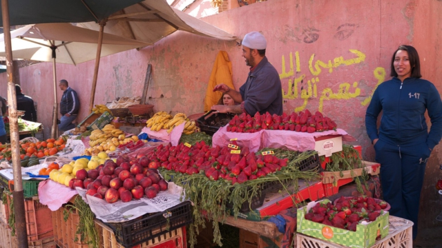 ueberzuechtete-Erdbeeren-Marokko-Marrakech