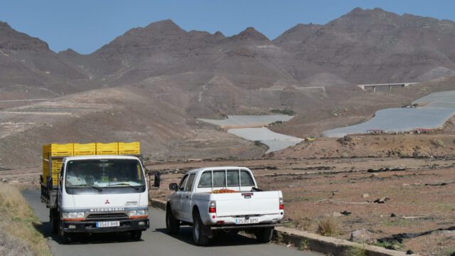 Wassertomaten_La_Tablada